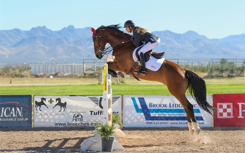 Funny Horse Show