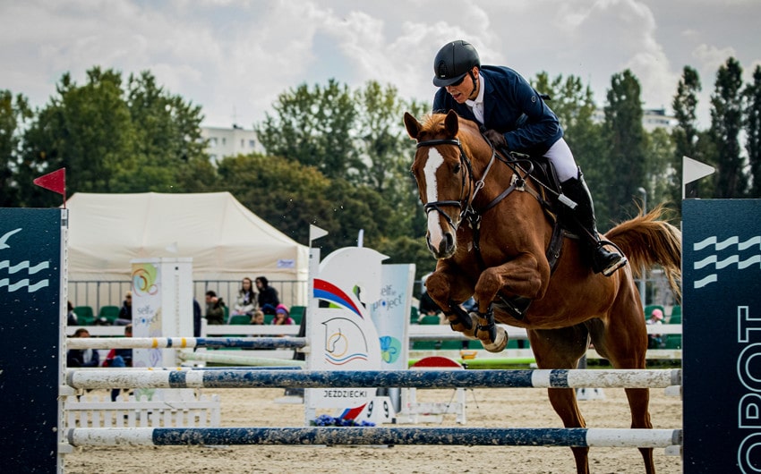 Unique Horse Show