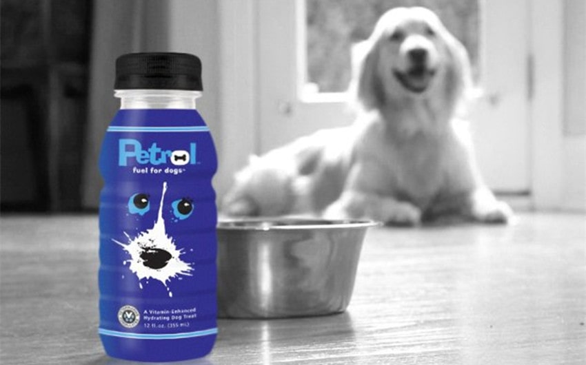 Read more about the article Exploring Petrol Dog Drink Net Worth: A Unique Pet Beverage